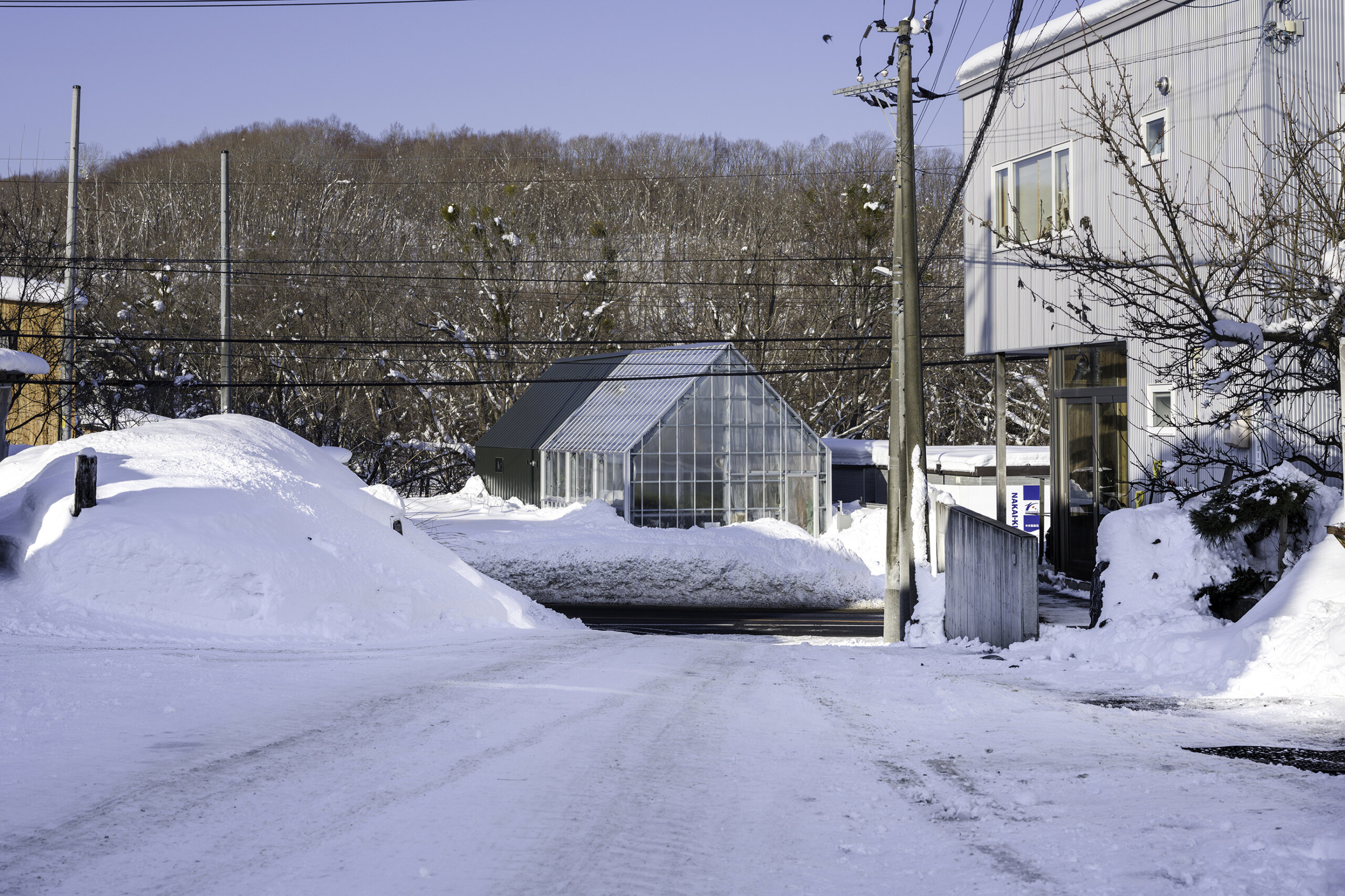 Glass House and House